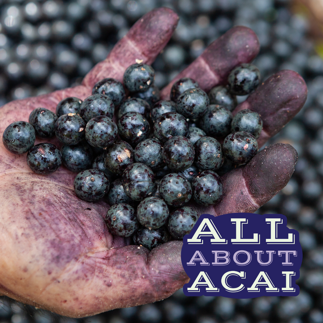 You are currently viewing All About Acai: From the Amazon to Your Smoothie Bowl